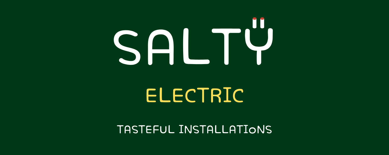 salty electric logo large